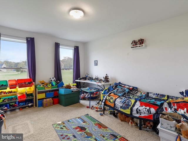 bedroom featuring carpet floors