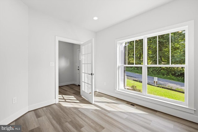 spare room featuring light hardwood / wood-style flooring and a wealth of natural light