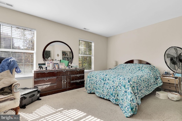 bedroom with carpet floors