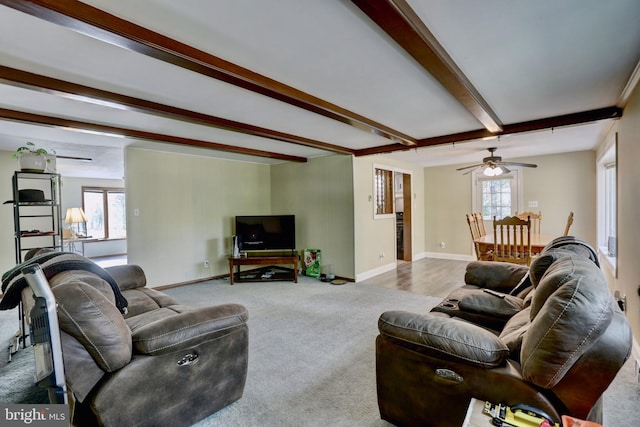 living room featuring carpet floors, ceiling fan, beamed ceiling, and a wealth of natural light