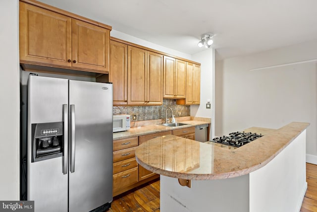 kitchen featuring stainless steel appliances, dark hardwood / wood-style floors, tasteful backsplash, and sink