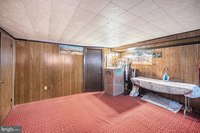 interior space featuring wooden walls and carpet floors