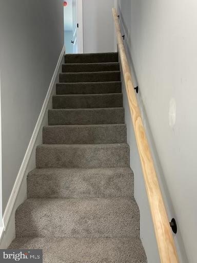 staircase featuring carpet