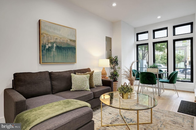 living room with wood-type flooring