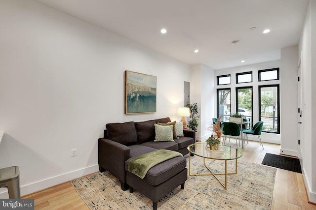 living room with light wood-type flooring