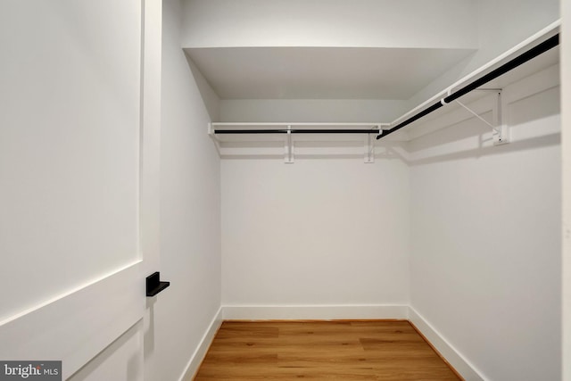 walk in closet with hardwood / wood-style floors