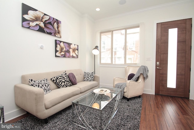 living room featuring crown molding and dark hardwood / wood-style flooring