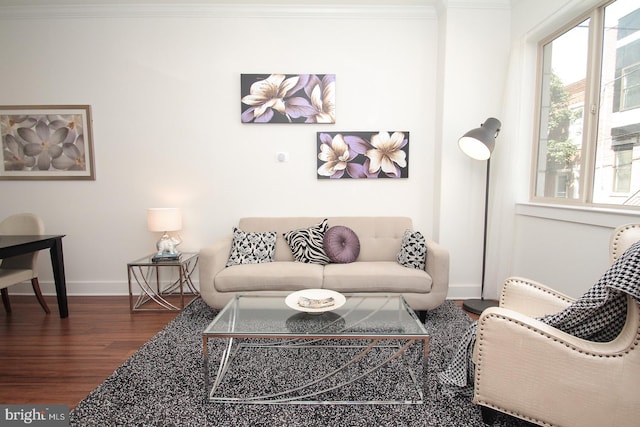 living room with ornamental molding and hardwood / wood-style floors