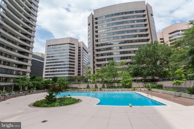 view of swimming pool featuring a patio area