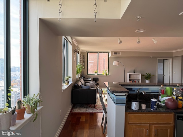 kitchen with dark wood-type flooring and stainless steel dishwasher