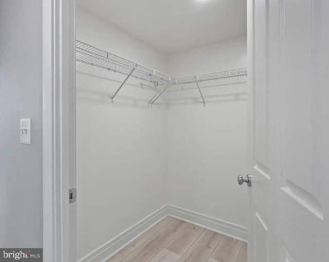 spacious closet featuring light hardwood / wood-style flooring