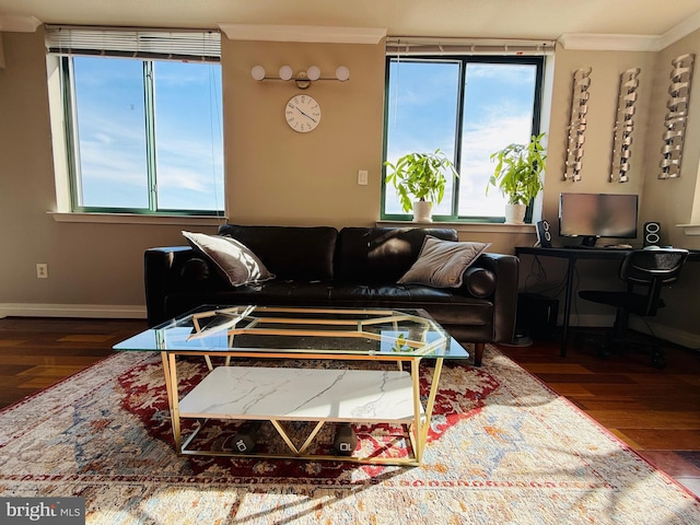 living room with dark hardwood / wood-style flooring and ornamental molding