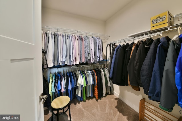 spacious closet with carpet floors