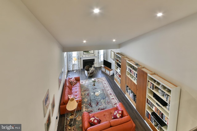 living room featuring dark hardwood / wood-style flooring