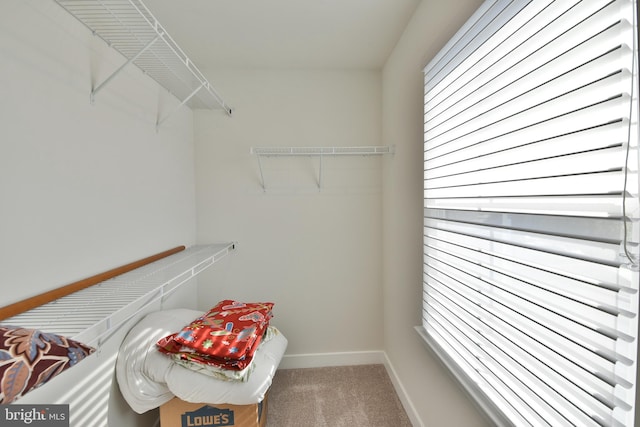 spacious closet with carpet