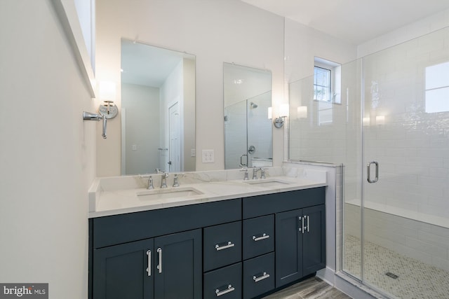 bathroom featuring a sink, a shower stall, and double vanity