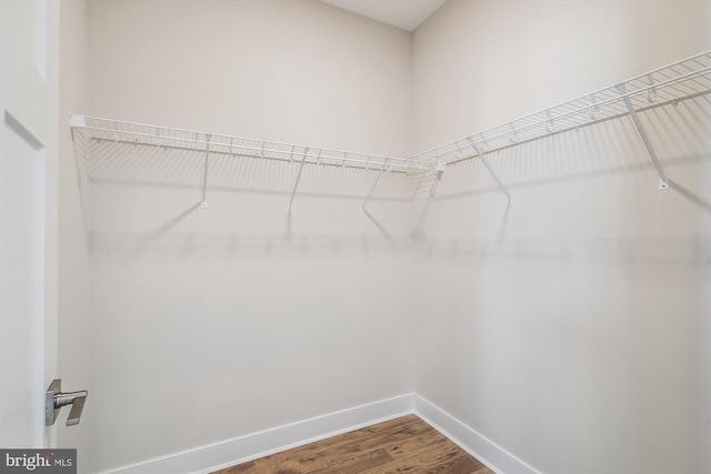 walk in closet featuring wood finished floors