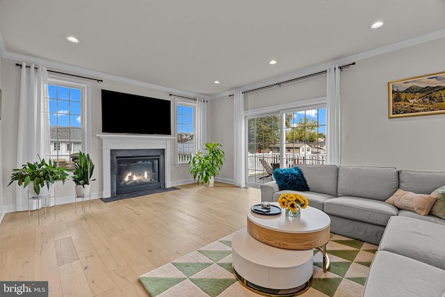 living room with crown molding and light hardwood / wood-style flooring