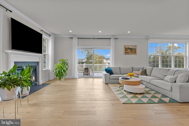 living room with a wealth of natural light, ornamental molding, and light hardwood / wood-style floors