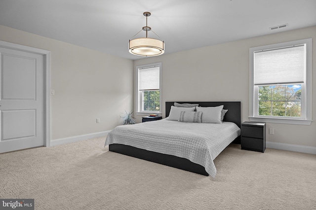 bedroom featuring multiple windows and carpet flooring