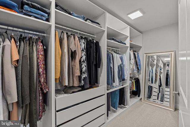 walk in closet featuring light carpet