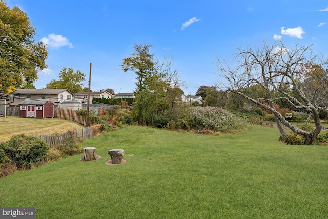 view of yard featuring a storage unit