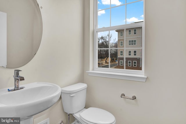 bathroom with sink, a wealth of natural light, and toilet