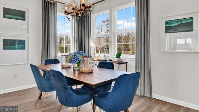 dining room featuring an inviting chandelier, hardwood / wood-style floors, and a wealth of natural light