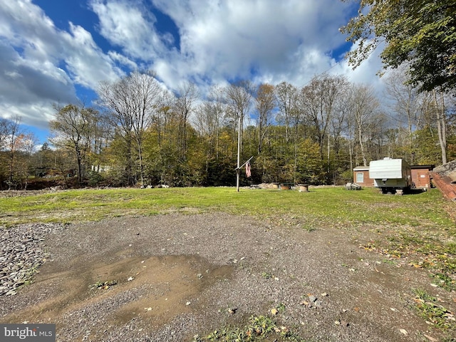 view of yard featuring a shed