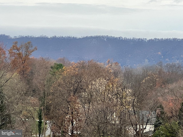 mountain view featuring a wooded view