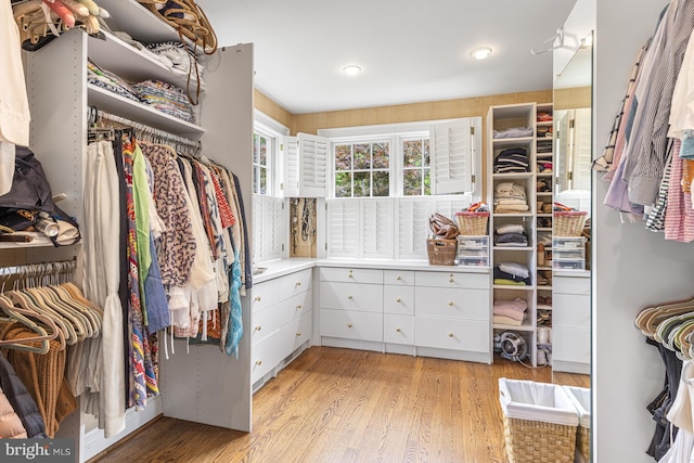 spacious closet featuring light wood-type flooring