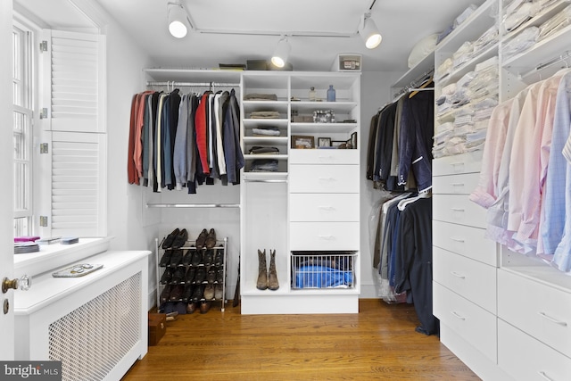 walk in closet with wood finished floors