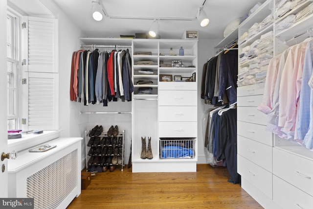 spacious closet with wood-type flooring