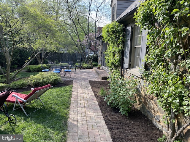 view of yard featuring a patio