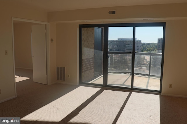 spare room featuring carpet floors and plenty of natural light