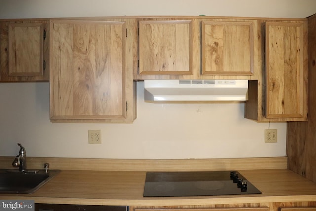 kitchen featuring light brown cabinetry, sink, and black electric cooktop