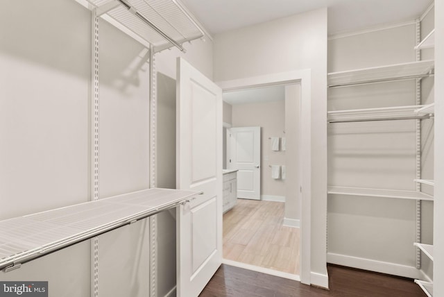 walk in closet with dark hardwood / wood-style flooring