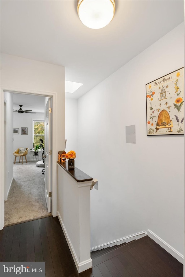 hallway with a skylight and dark hardwood / wood-style floors