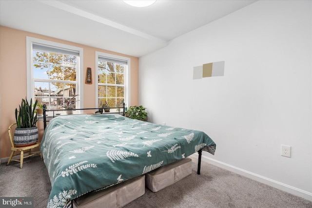 bedroom featuring carpet floors