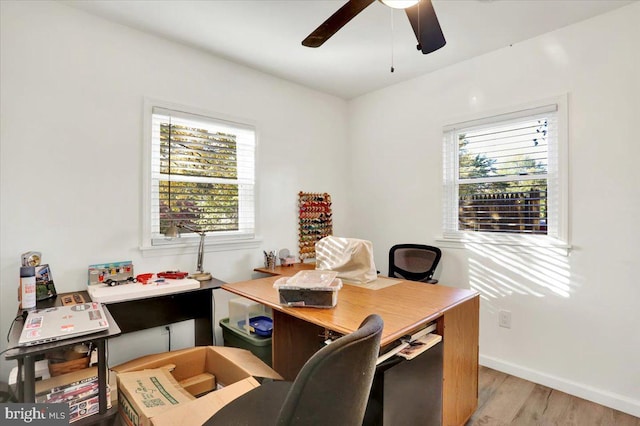 home office with ceiling fan, a healthy amount of sunlight, and light wood-type flooring