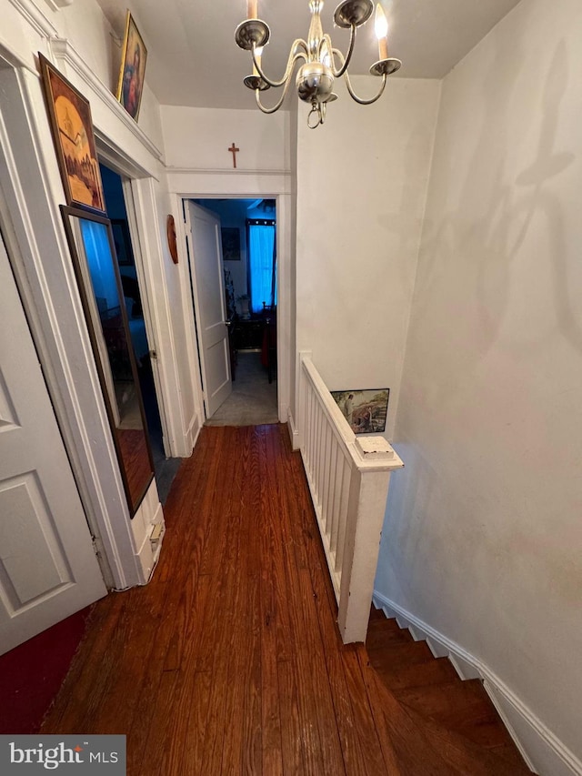 hallway with a notable chandelier and dark hardwood / wood-style flooring