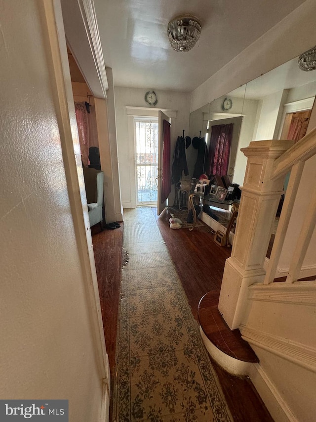 corridor featuring dark hardwood / wood-style floors