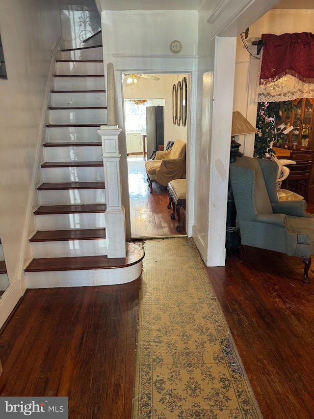 staircase with hardwood / wood-style floors