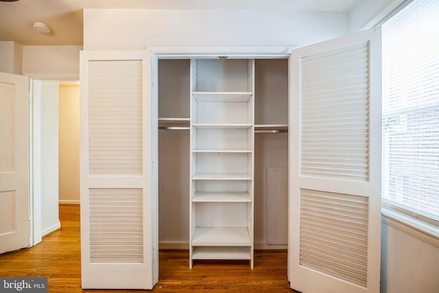 view of closet