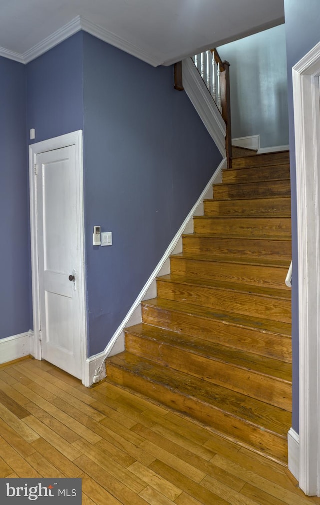 staircase with hardwood / wood-style flooring and crown molding