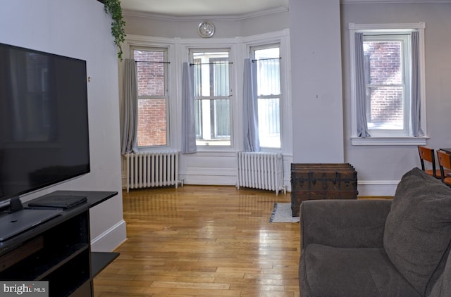 living room featuring radiator, light hardwood / wood-style floors, and a wealth of natural light