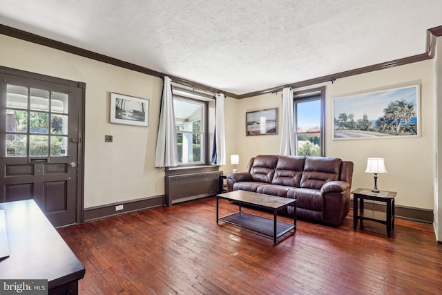 living room with radiator heating unit, a textured ceiling, and a wealth of natural light