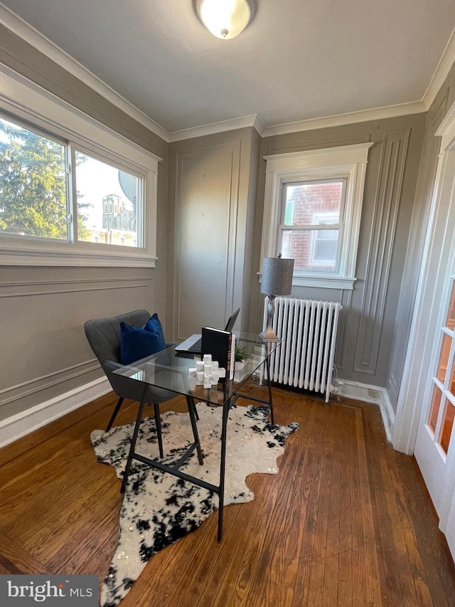 office with radiator, crown molding, and dark hardwood / wood-style floors