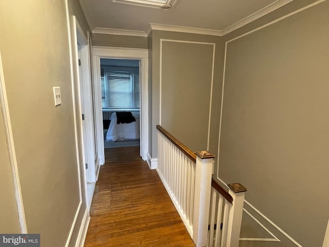 hall featuring ornamental molding and dark wood-type flooring