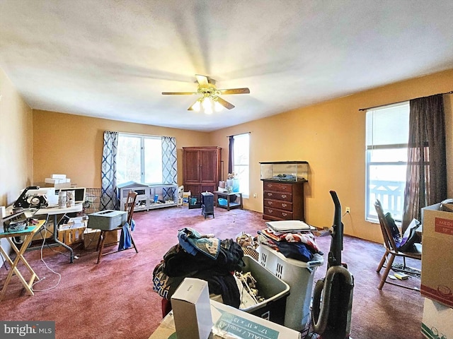 carpeted office with ceiling fan